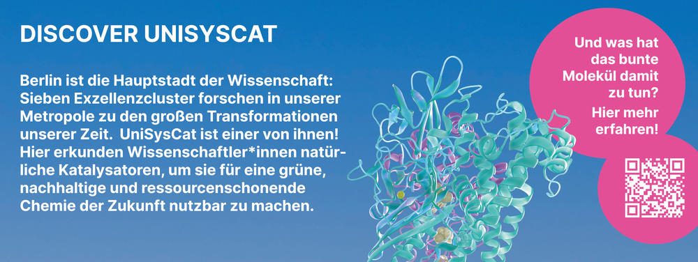 Exzellenzcluster UniSysCat